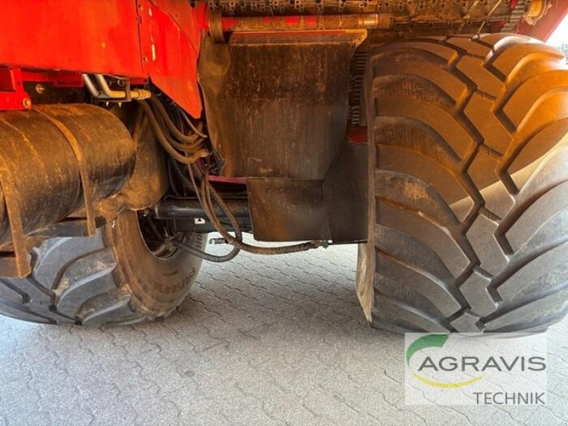 Kartoffelvollernter типа Grimme EVO 280 CS, Gebrauchtmaschine в Meppen (Фотография 14)