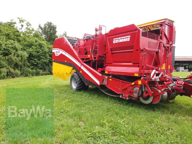 Kartoffelvollernter of the type Grimme EVO 280 GRIMME, Gebrauchtmaschine in Erbach (Picture 7)