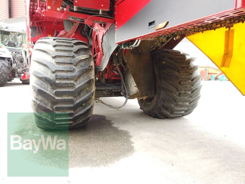 Kartoffelvollernter of the type Grimme EVO 280 GRIMME, Gebrauchtmaschine in Erbach (Picture 19)