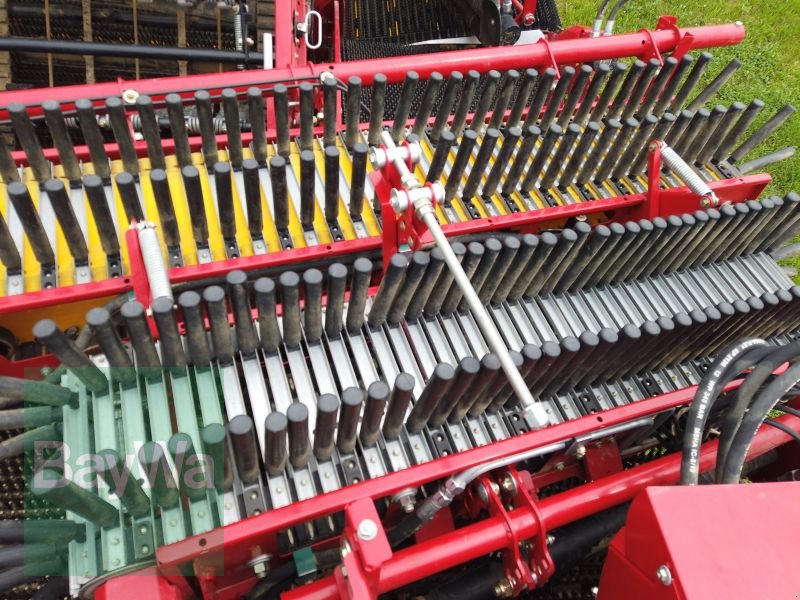 Kartoffelvollernter tip Grimme EVO 280 GRIMME, Gebrauchtmaschine in Erbach (Poză 13)