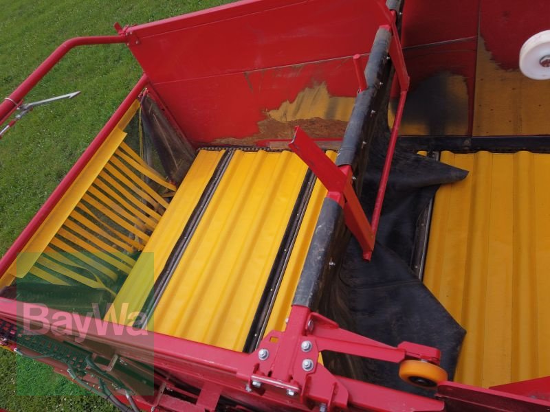 Kartoffelvollernter tip Grimme EVO 280 GRIMME, Gebrauchtmaschine in Erbach (Poză 10)