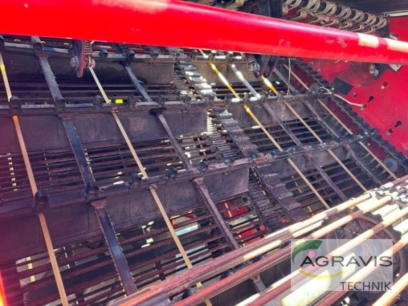 Kartoffelvollernter des Typs Grimme EVO 280, Gebrauchtmaschine in Meppen (Bild 9)