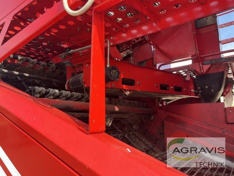 Kartoffelvollernter typu Grimme EVO 280, Gebrauchtmaschine v Alpen (Obrázek 19)