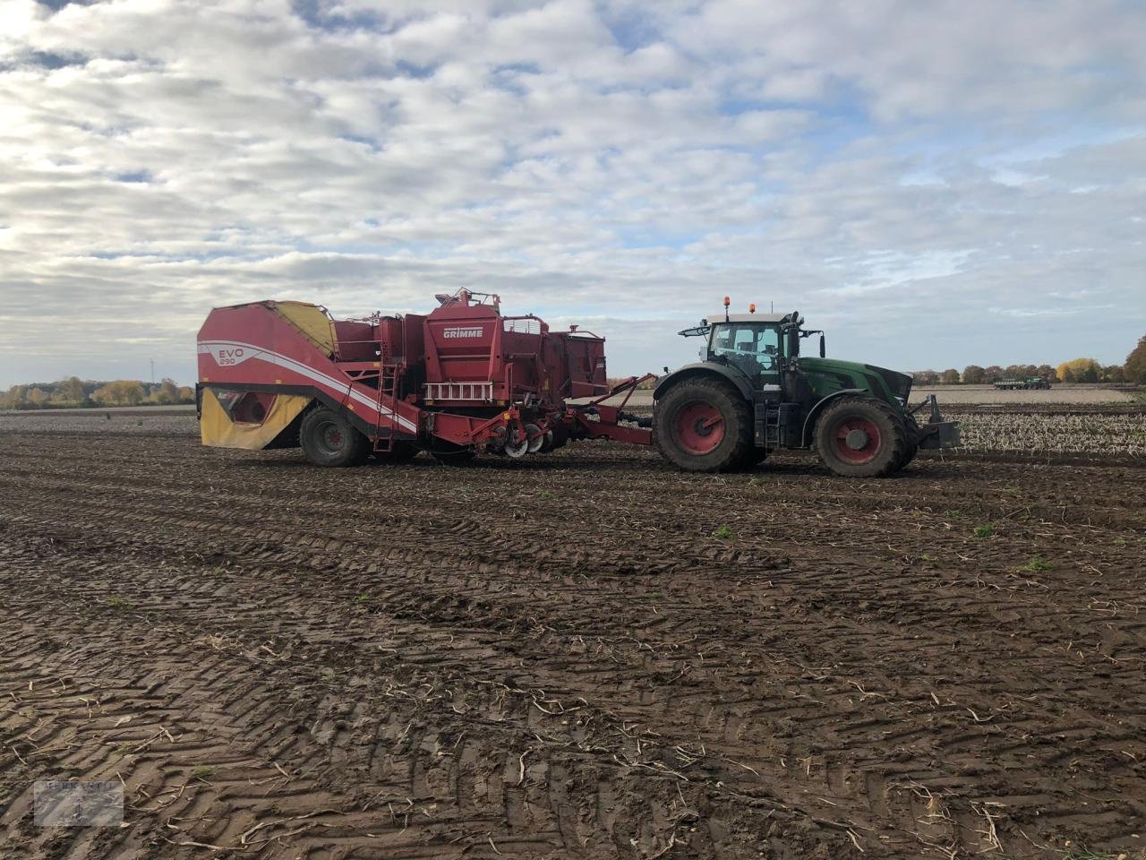 Kartoffelvollernter του τύπου Grimme EVO 290 Airsep, Gebrauchtmaschine σε Pragsdorf (Φωτογραφία 1)
