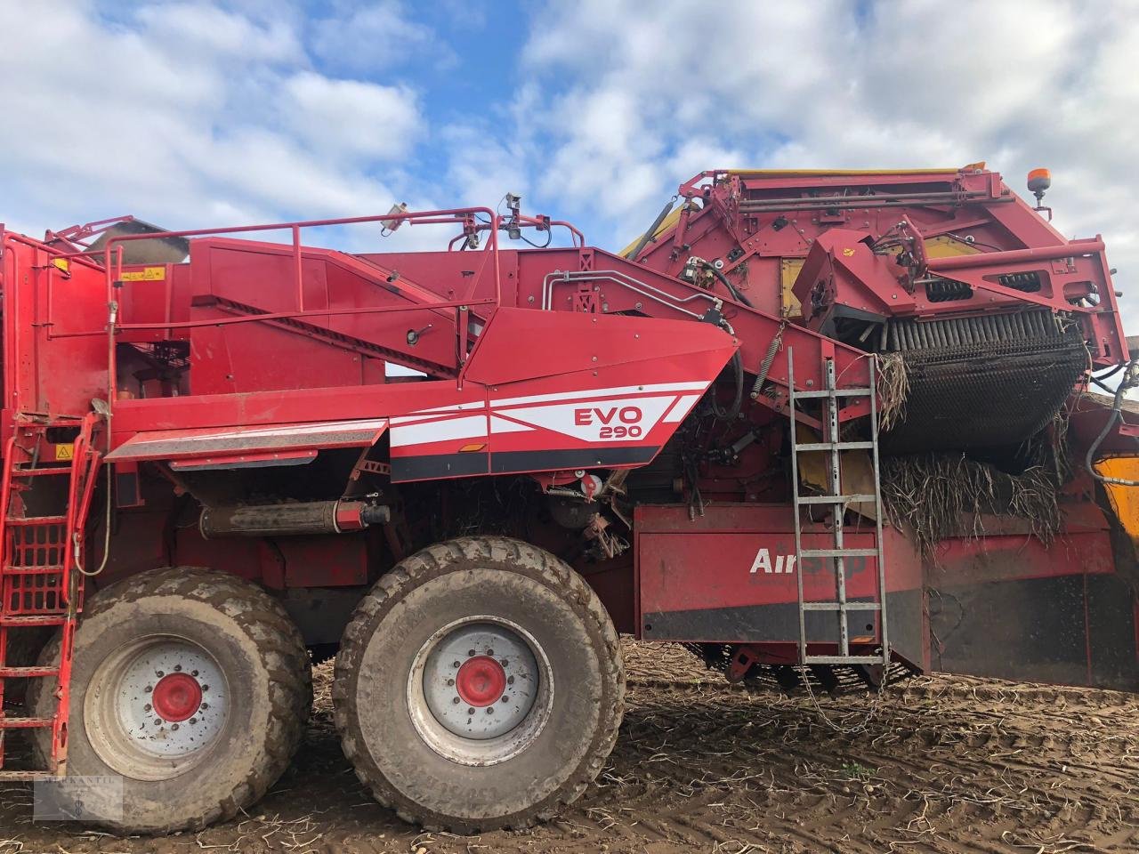 Kartoffelvollernter του τύπου Grimme EVO 290 Airsep, Gebrauchtmaschine σε Pragsdorf (Φωτογραφία 9)