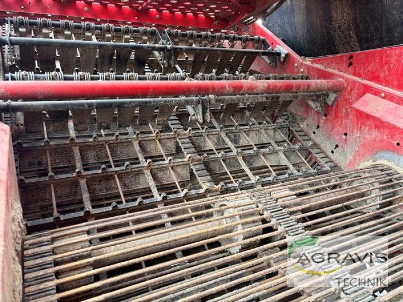Kartoffelvollernter del tipo Grimme EVO 290 NB, Gebrauchtmaschine In Meppen (Immagine 11)