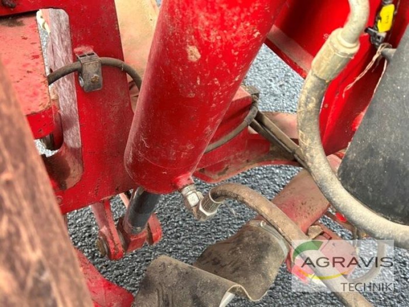 Kartoffelvollernter del tipo Grimme EVO 290 NB, Gebrauchtmaschine In Meppen (Immagine 19)