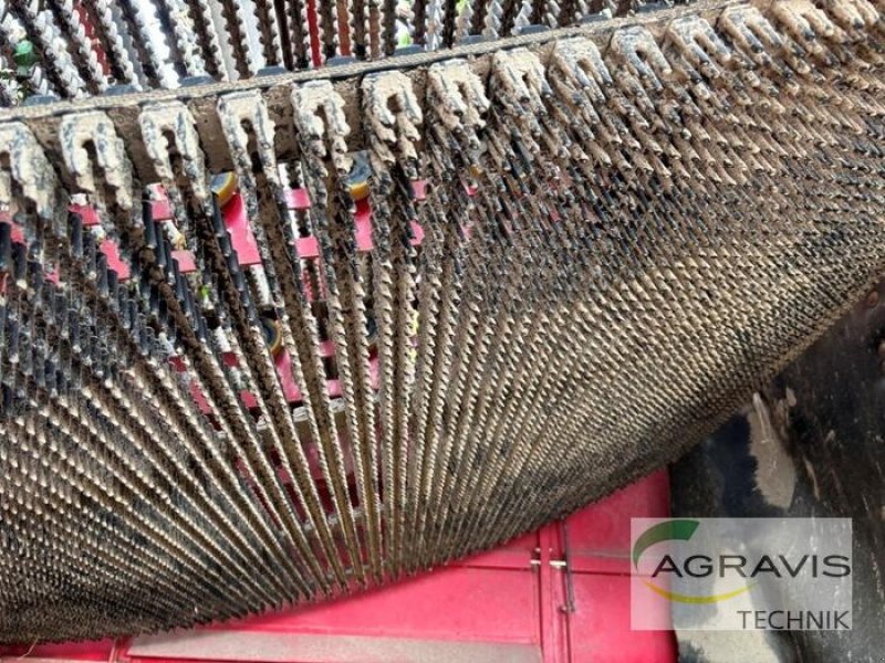 Kartoffelvollernter del tipo Grimme EVO 290 NB, Gebrauchtmaschine In Meppen (Immagine 15)