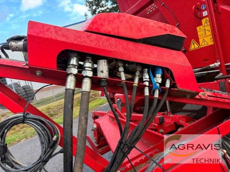 Kartoffelvollernter del tipo Grimme EVO 290 NB, Gebrauchtmaschine In Meppen (Immagine 5)