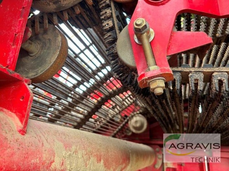 Kartoffelvollernter del tipo Grimme EVO 290 NB, Gebrauchtmaschine In Meppen (Immagine 16)