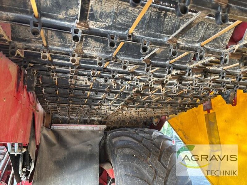 Kartoffelvollernter del tipo Grimme EVO 290 NB, Gebrauchtmaschine In Meppen (Immagine 14)
