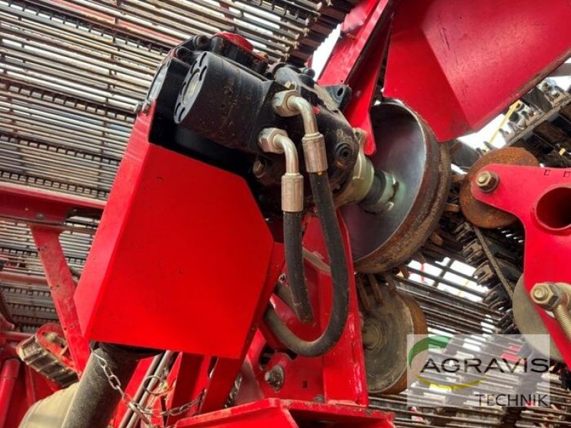 Kartoffelvollernter del tipo Grimme EVO 290 NB, Gebrauchtmaschine In Meppen (Immagine 17)