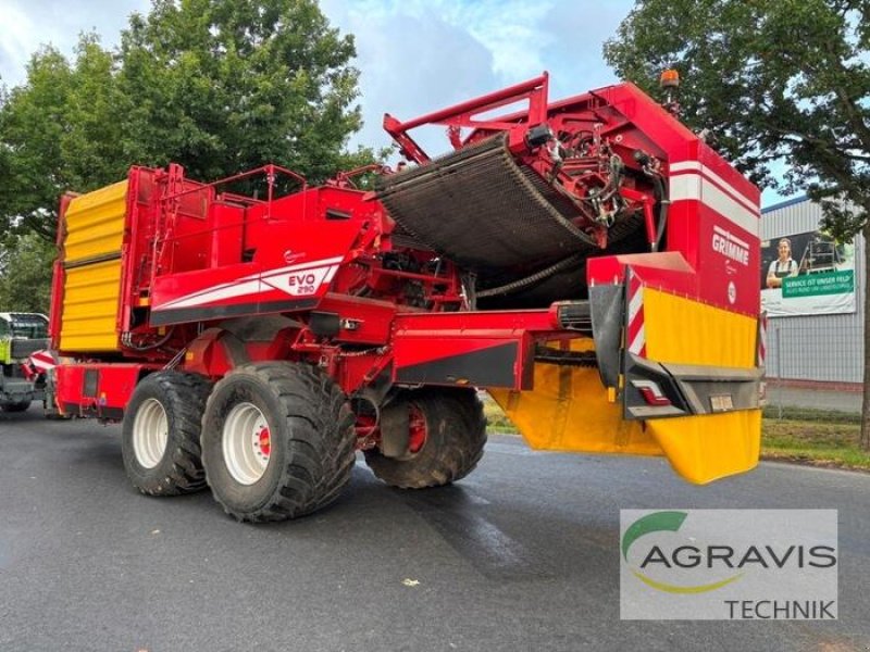 Kartoffelvollernter del tipo Grimme EVO 290 NB, Gebrauchtmaschine In Meppen (Immagine 4)