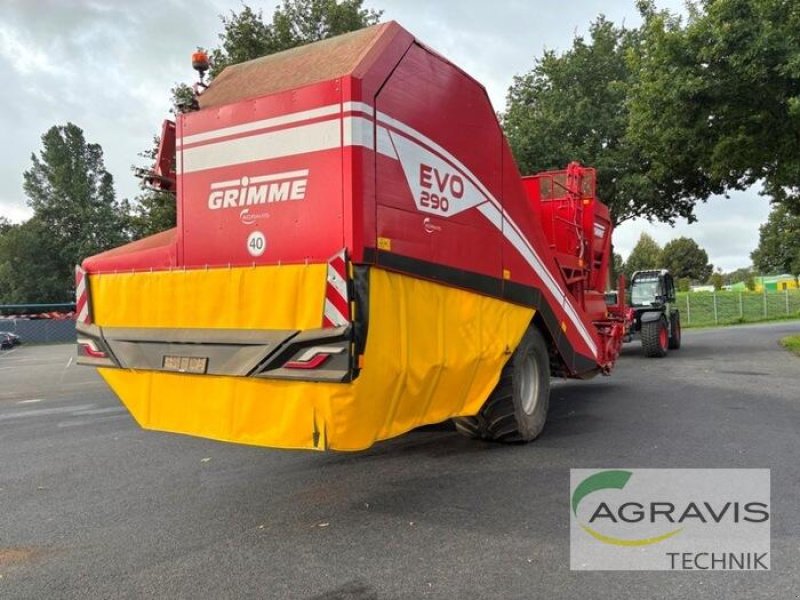 Kartoffelvollernter del tipo Grimme EVO 290 NB, Gebrauchtmaschine In Meppen (Immagine 3)