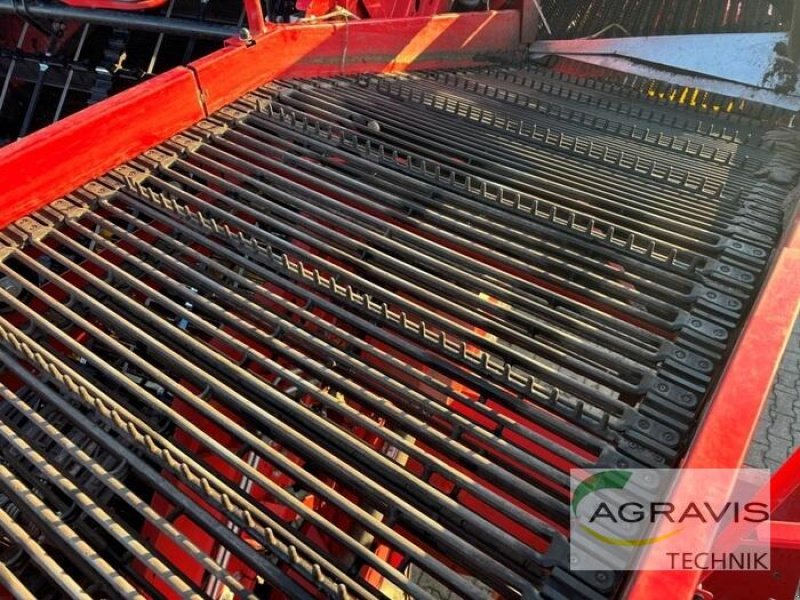 Kartoffelvollernter typu Grimme EVO 290, Gebrauchtmaschine v Meppen (Obrázek 13)