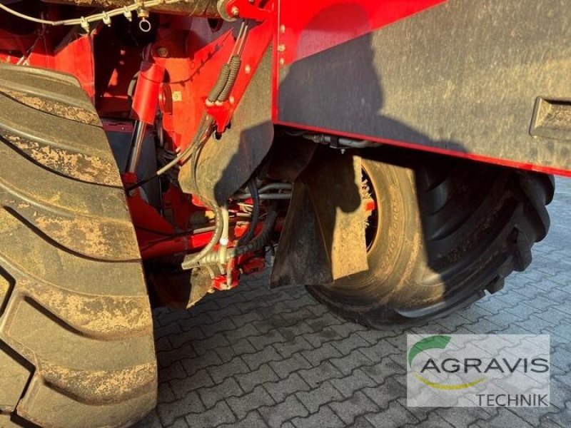 Kartoffelvollernter typu Grimme EVO 290, Gebrauchtmaschine v Meppen (Obrázek 17)