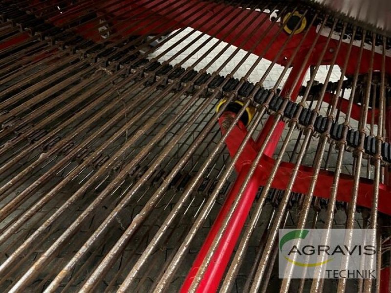 Kartoffelvollernter typu Grimme EVO 290, Gebrauchtmaschine w Meppen (Zdjęcie 15)