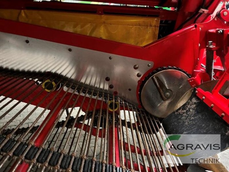 Kartoffelvollernter typu Grimme EVO 290, Gebrauchtmaschine w Meppen (Zdjęcie 14)