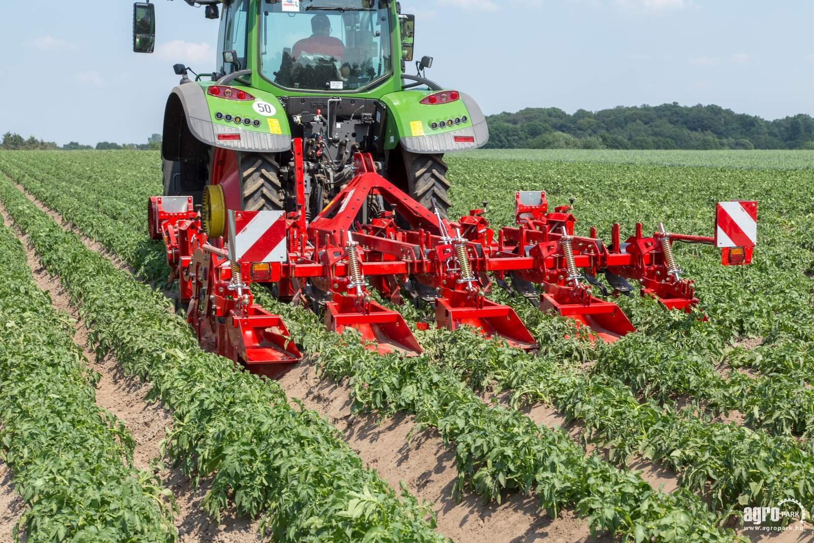 Kartoffelvollernter typu Grimme GH 4, Gebrauchtmaschine v Csengele (Obrázek 1)