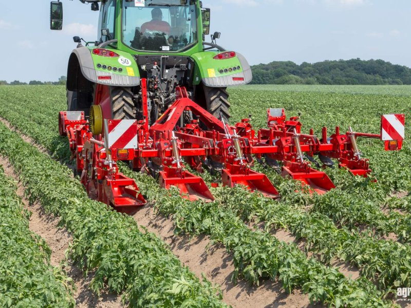 Kartoffelvollernter tip Grimme GH 4, Gebrauchtmaschine in Csengele (Poză 1)