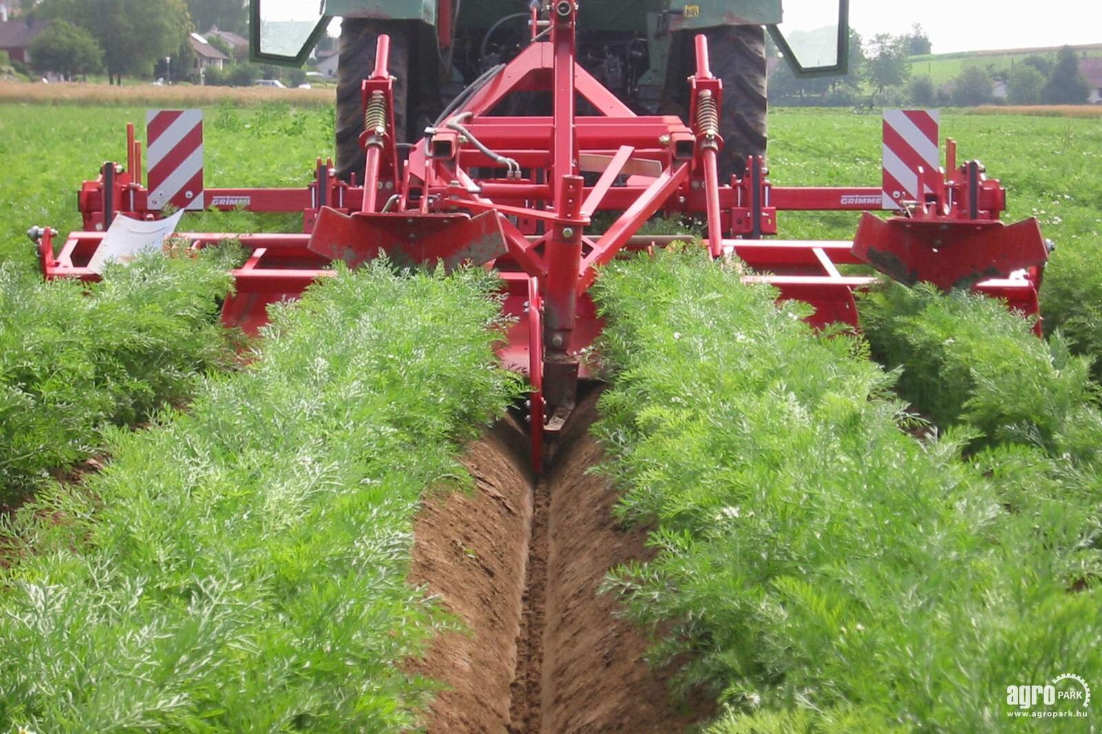 Kartoffelvollernter typu Grimme GH 4, Gebrauchtmaschine v Csengele (Obrázek 3)