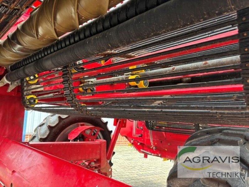 Kartoffelvollernter typu Grimme GT 170, Gebrauchtmaschine v Meppen (Obrázek 20)