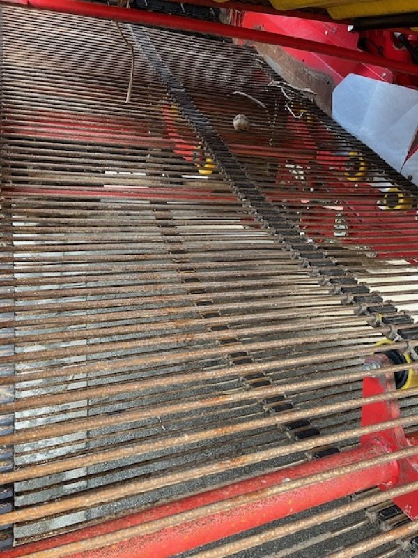 Kartoffelvollernter des Typs Grimme Kartoffelroder EVO 290, Gebrauchtmaschine in Beedenbostel (Bild 5)