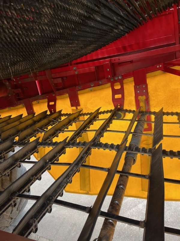 Kartoffelvollernter des Typs Grimme Kartoffelroder EVO 290, Gebrauchtmaschine in Beedenbostel (Bild 17)