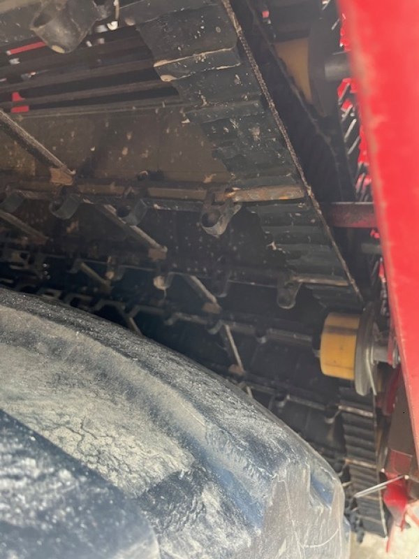 Kartoffelvollernter des Typs Grimme Kartoffelroder EVO 290, Gebrauchtmaschine in Beedenbostel (Bild 19)