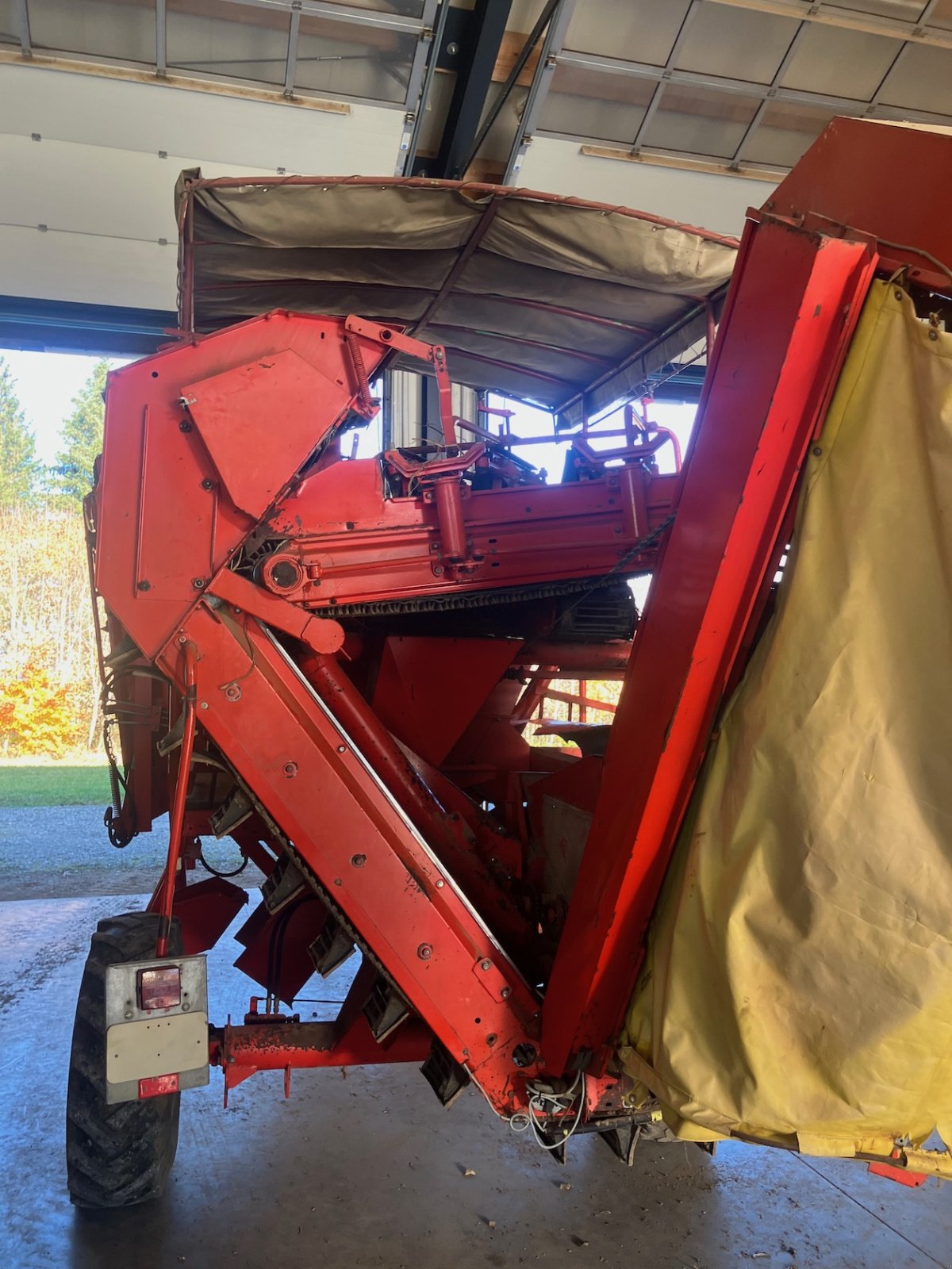 Kartoffelvollernter tip Grimme LK 650, Gebrauchtmaschine in Bräunlingen (Poză 4)