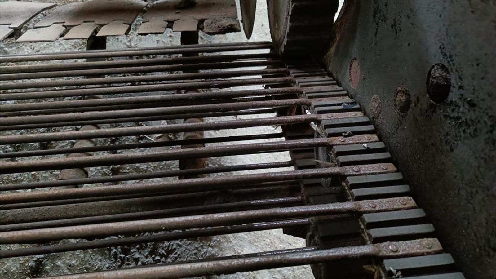 Kartoffelvollernter del tipo Grimme SE 150-60 Grimme SE 150-60, med hjultræk og med 1700 mm indføring., Gebrauchtmaschine In Egtved (Immagine 9)