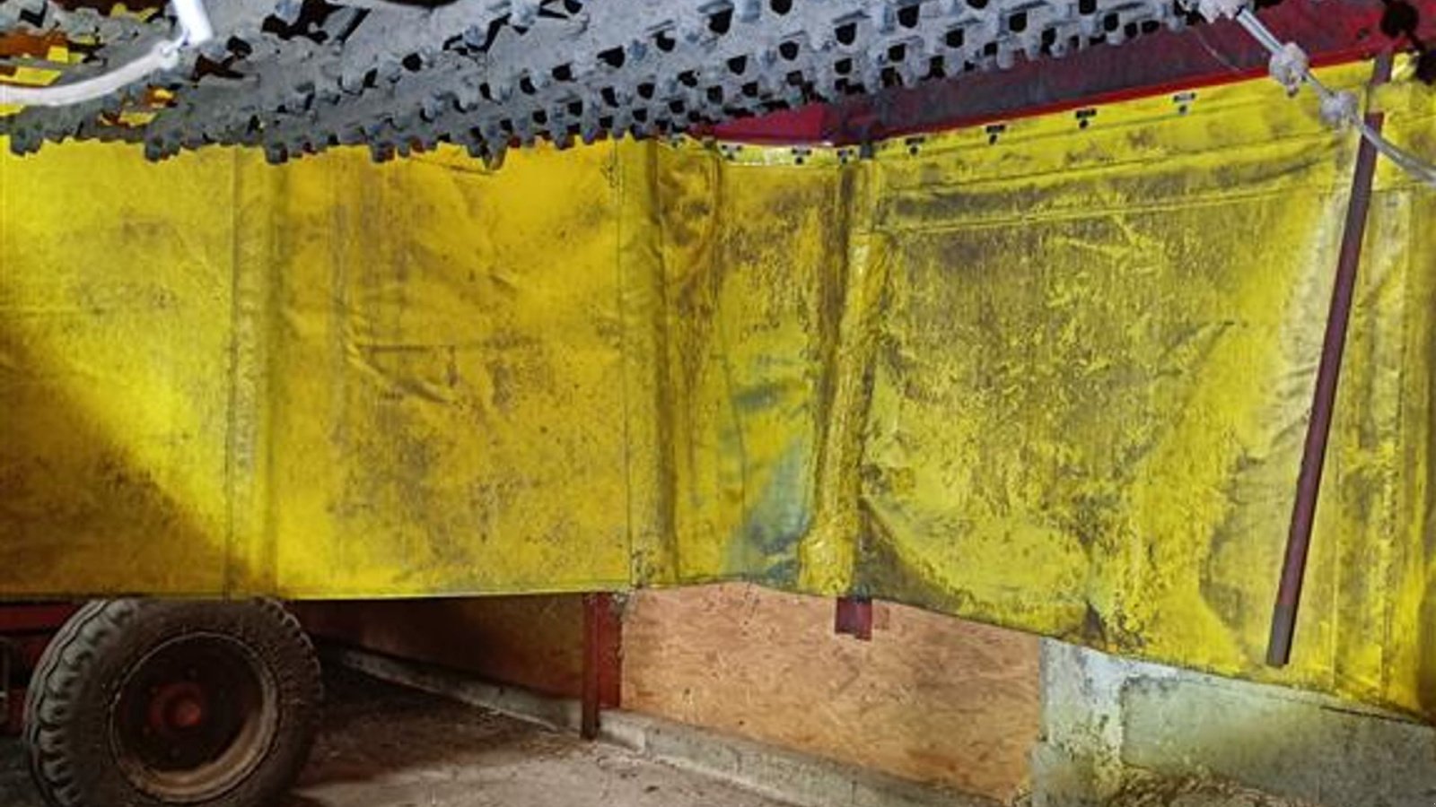 Kartoffelvollernter del tipo Grimme SE 150-60 Grimme SE 150-60, med hjultræk og med 1700 mm indføring., Gebrauchtmaschine In Egtved (Immagine 12)