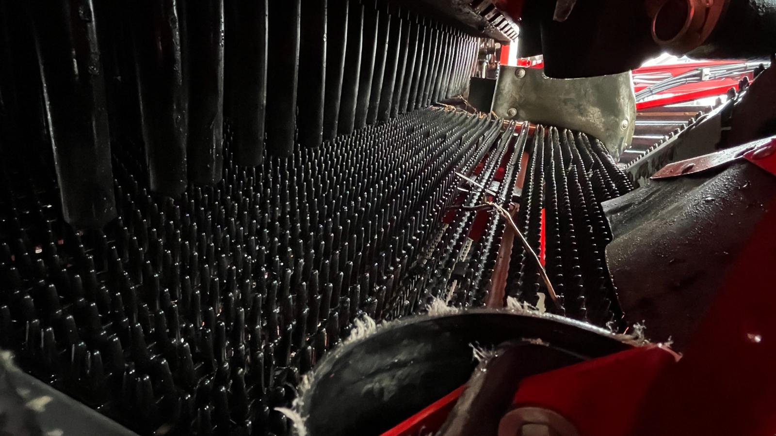 Kartoffelvollernter типа Grimme SE 150-60 UB, Gebrauchtmaschine в Dannstadt-Schauernheim (Фотография 25)