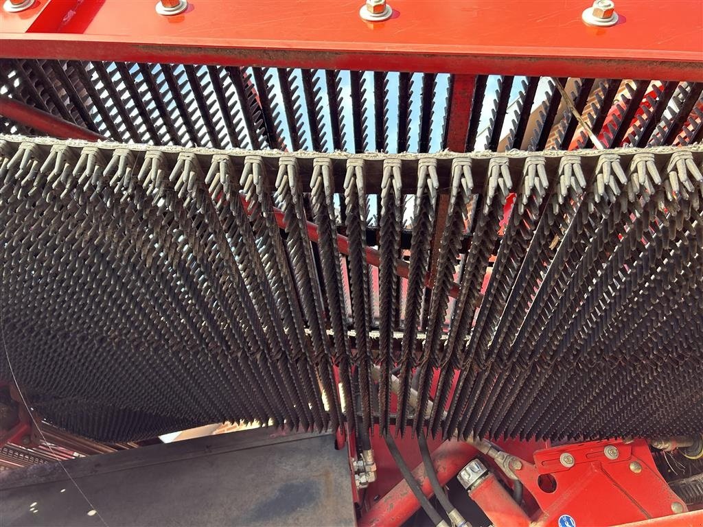 Kartoffelvollernter of the type Grimme SE-170-60-NB XXL 3 PIGBÅND, Gebrauchtmaschine in Ikast (Picture 5)