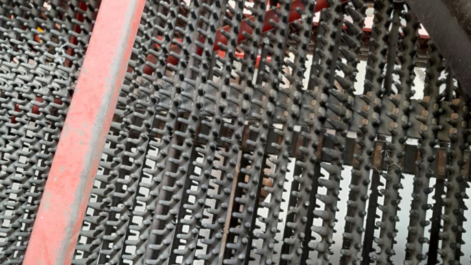 Kartoffelvollernter του τύπου Grimme SE-170-60-NB XXL, Gebrauchtmaschine σε Horsens (Φωτογραφία 18)