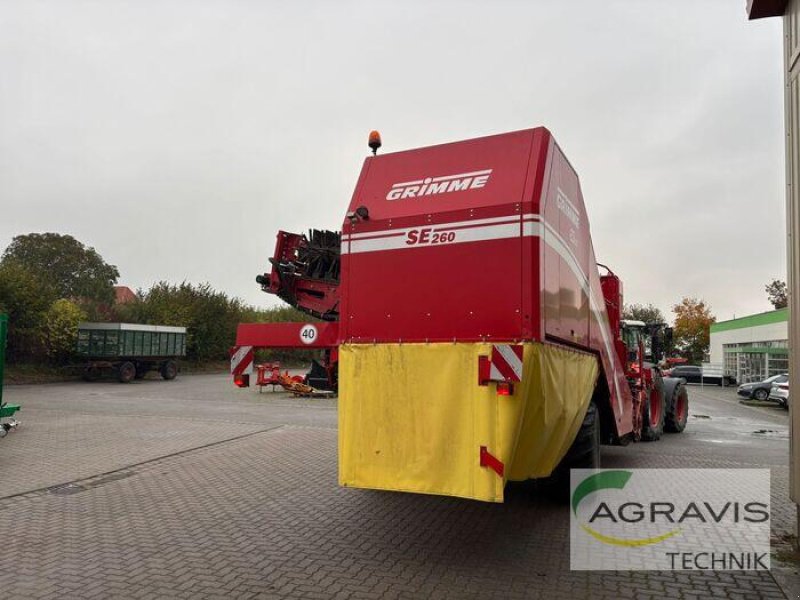 Kartoffelvollernter typu Grimme SE 260 UB, Gebrauchtmaschine v Barsinghausen-Göxe (Obrázek 2)