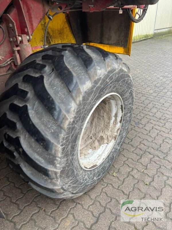 Kartoffelvollernter typu Grimme SE 260 UB, Gebrauchtmaschine v Barsinghausen-Göxe (Obrázek 10)