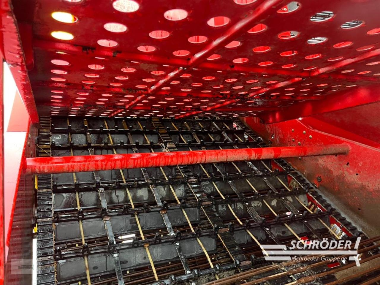 Kartoffelvollernter typu Grimme SE 260 UB, Gebrauchtmaschine v Leizen (Obrázek 17)