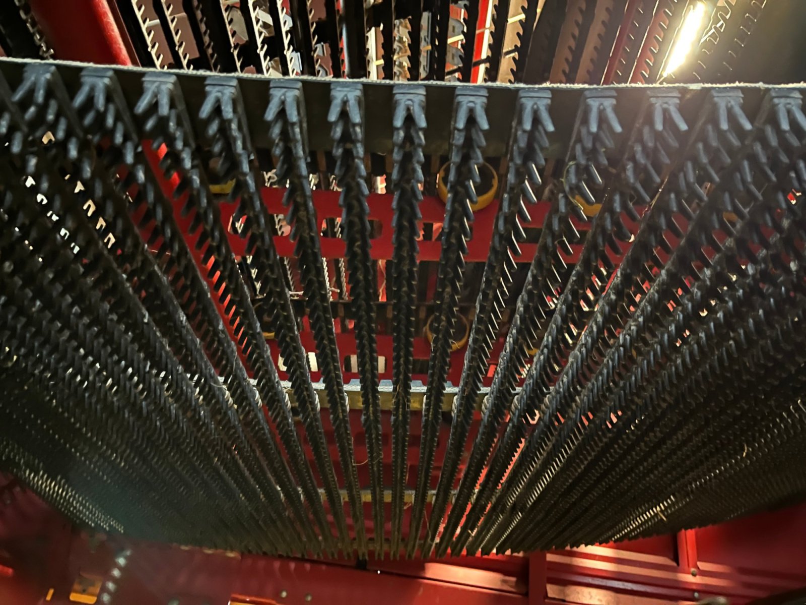 Kartoffelvollernter του τύπου Grimme SE 260 UB, Gebrauchtmaschine σε Dannstadt-Schauernheim (Φωτογραφία 12)