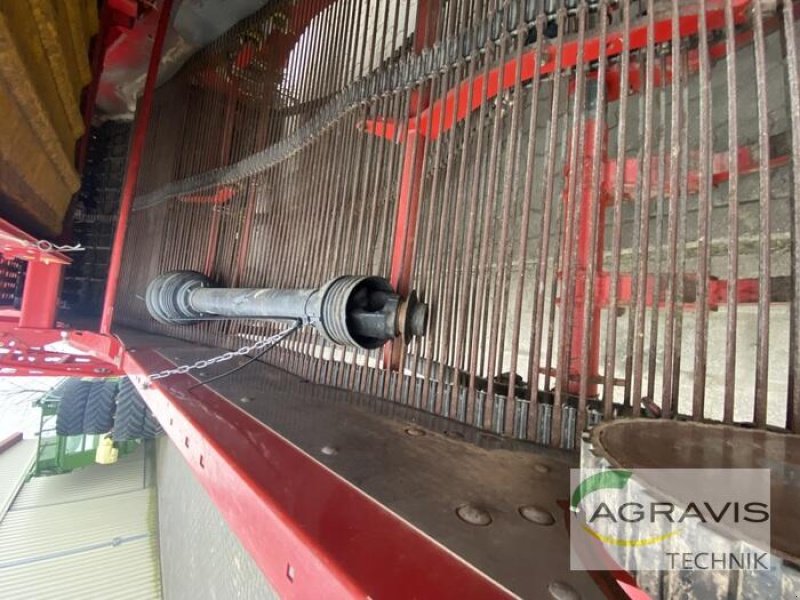 Kartoffelvollernter typu Grimme SE 260, Gebrauchtmaschine v Barsinghausen-Göxe (Obrázek 16)