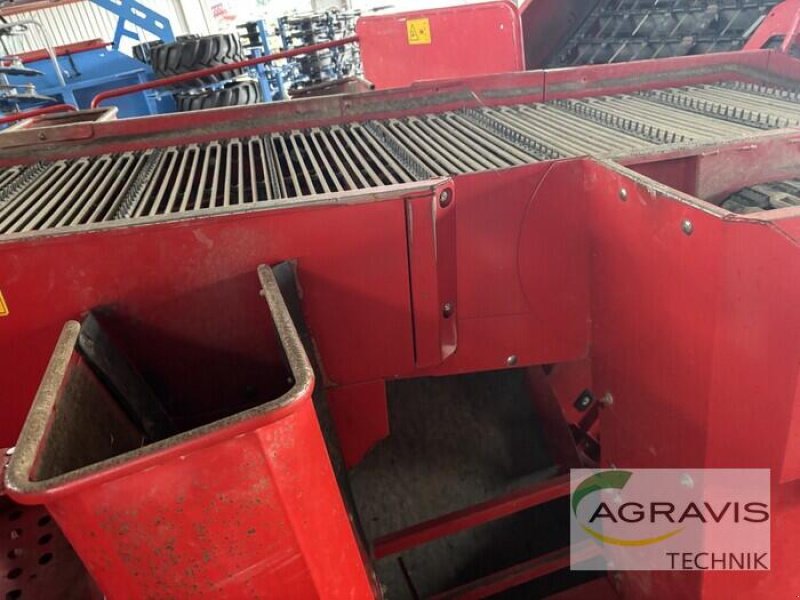 Kartoffelvollernter typu Grimme SE 260, Gebrauchtmaschine v Uelzen (Obrázek 8)