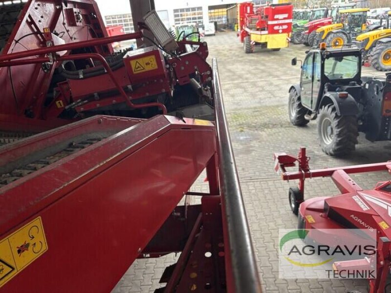 Kartoffelvollernter typu Grimme SE 260, Gebrauchtmaschine v Uelzen (Obrázek 10)