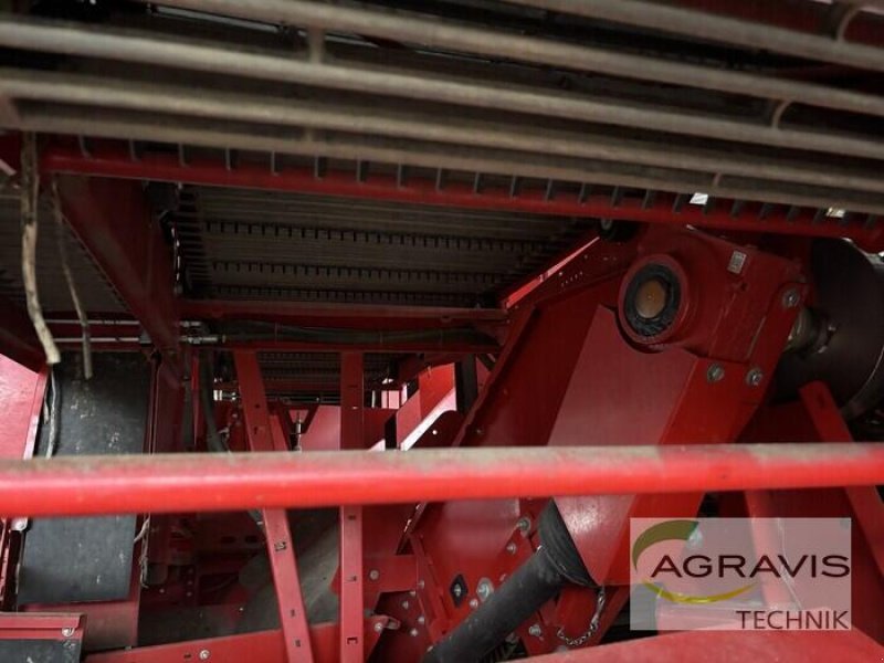 Kartoffelvollernter typu Grimme SE 260, Gebrauchtmaschine v Uelzen (Obrázek 7)