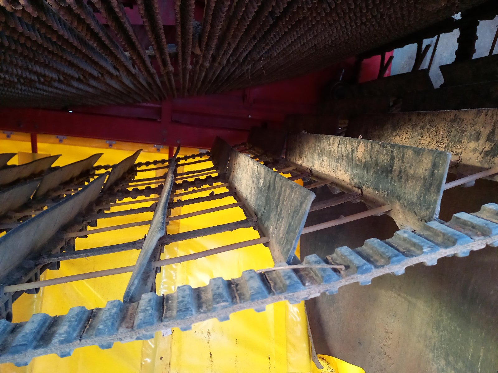 Kartoffelvollernter typu Grimme SE 260, Gebrauchtmaschine v Dannstadt-Schauernheim (Obrázek 8)