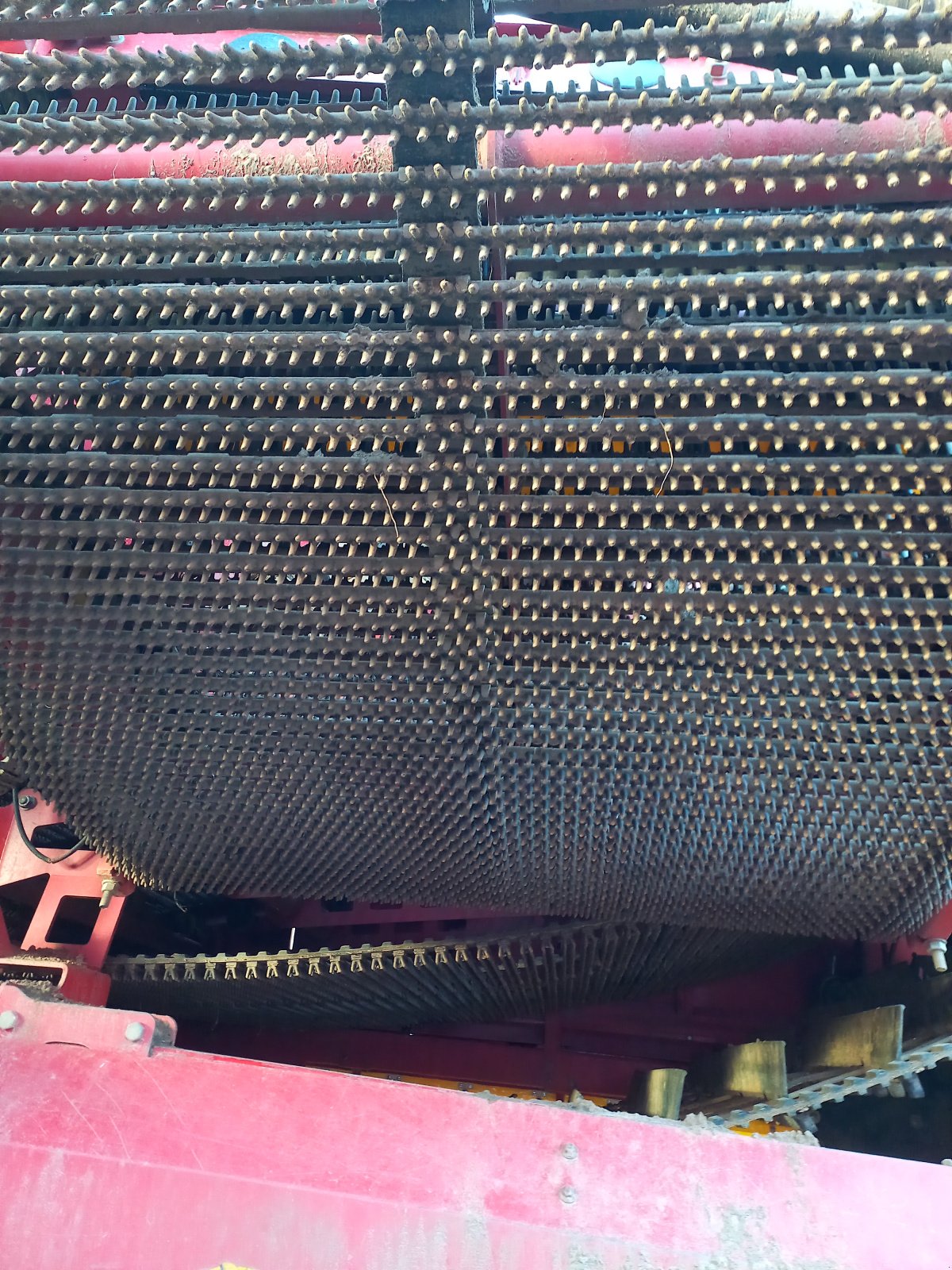 Kartoffelvollernter typu Grimme SE 260, Gebrauchtmaschine v Dannstadt-Schauernheim (Obrázek 9)