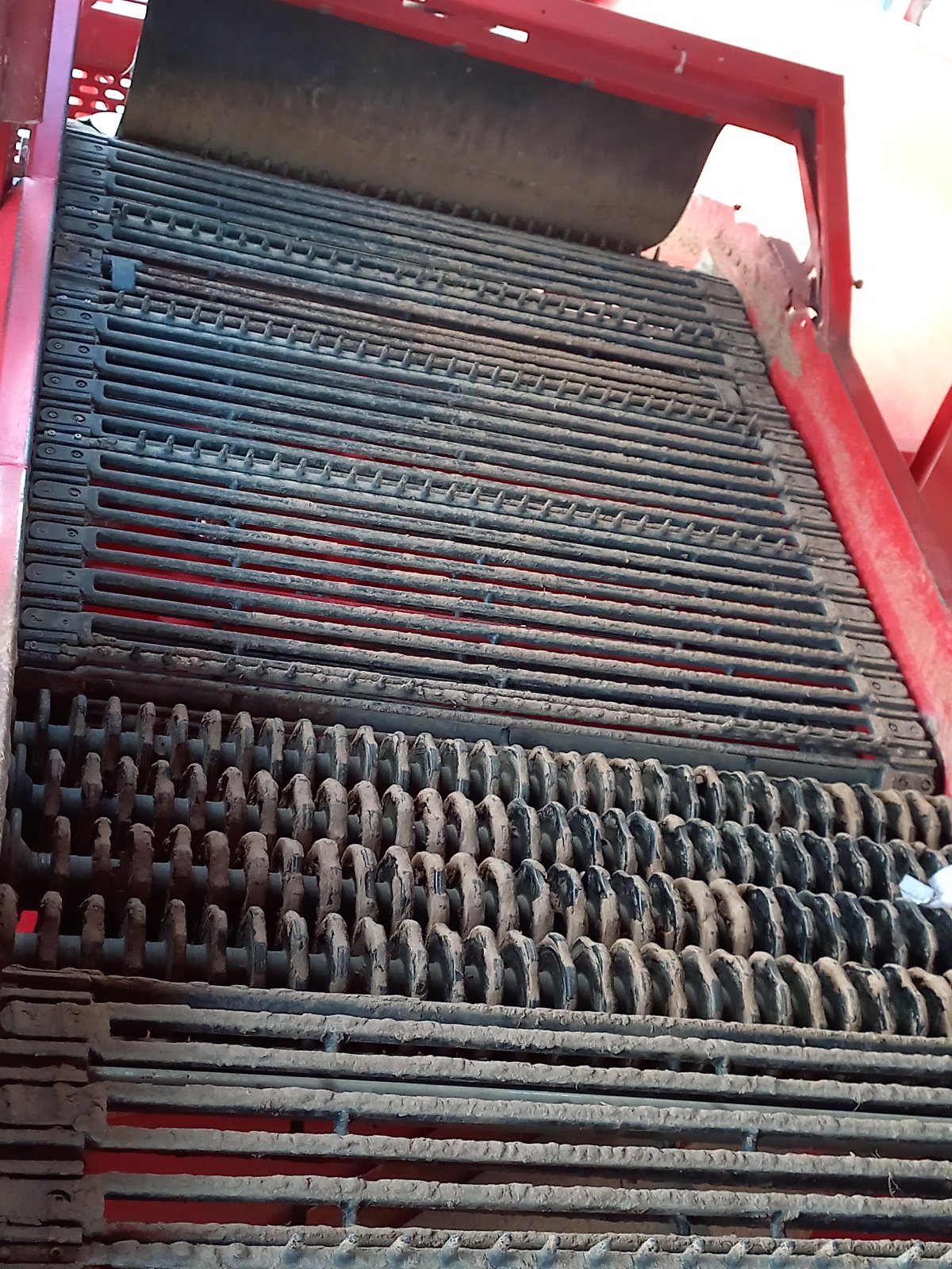 Kartoffelvollernter typu Grimme SE 260, Gebrauchtmaschine v Dannstadt-Schauernheim (Obrázek 13)