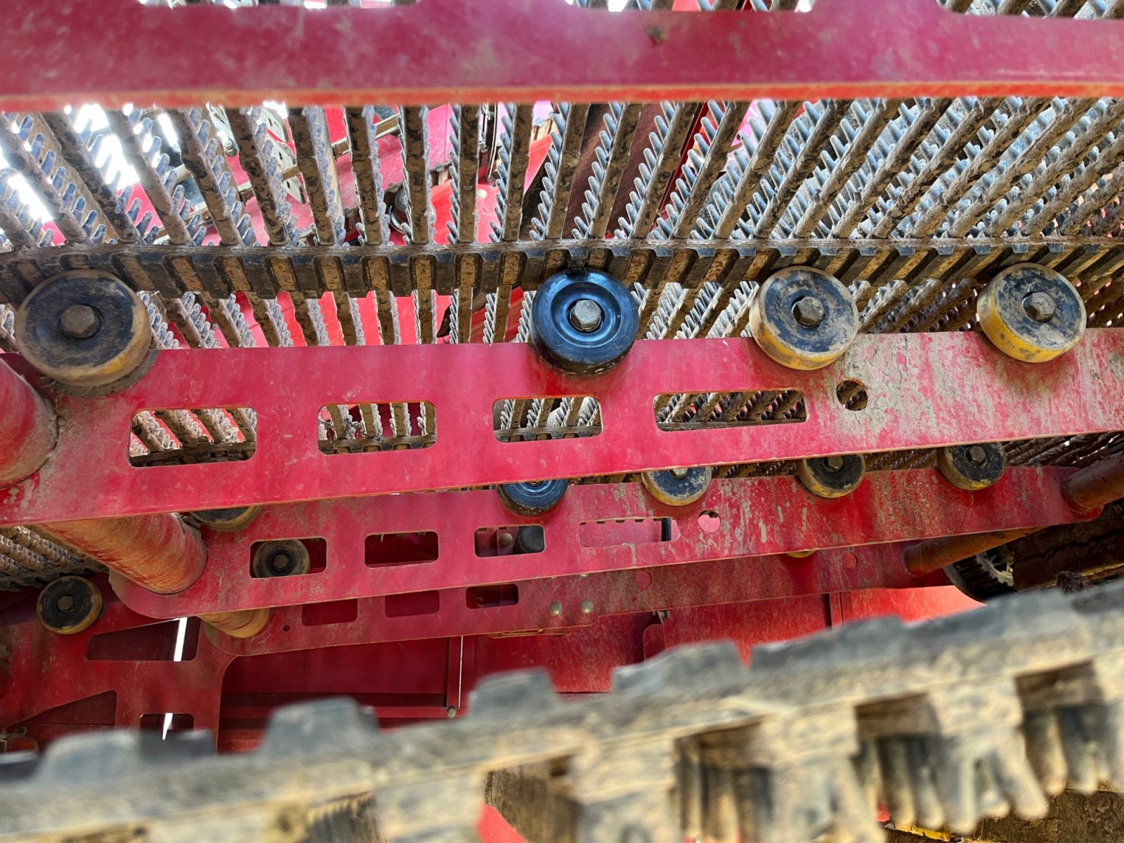 Kartoffelvollernter typu Grimme SE 260, Gebrauchtmaschine v Dannstadt-Schauernheim (Obrázek 10)