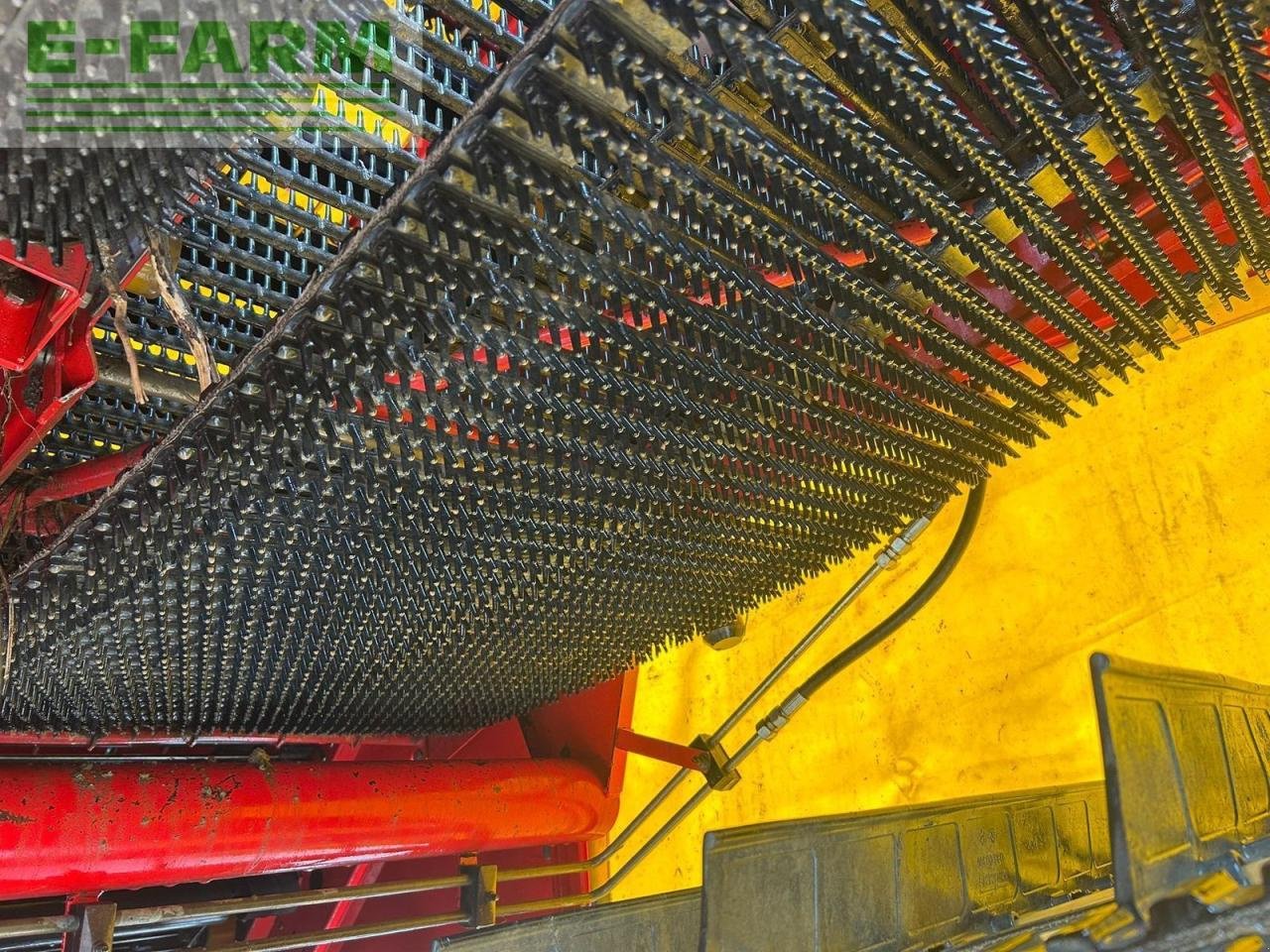 Kartoffelvollernter typu Grimme se 75-40, Gebrauchtmaschine v Korneuburg (Obrázek 17)