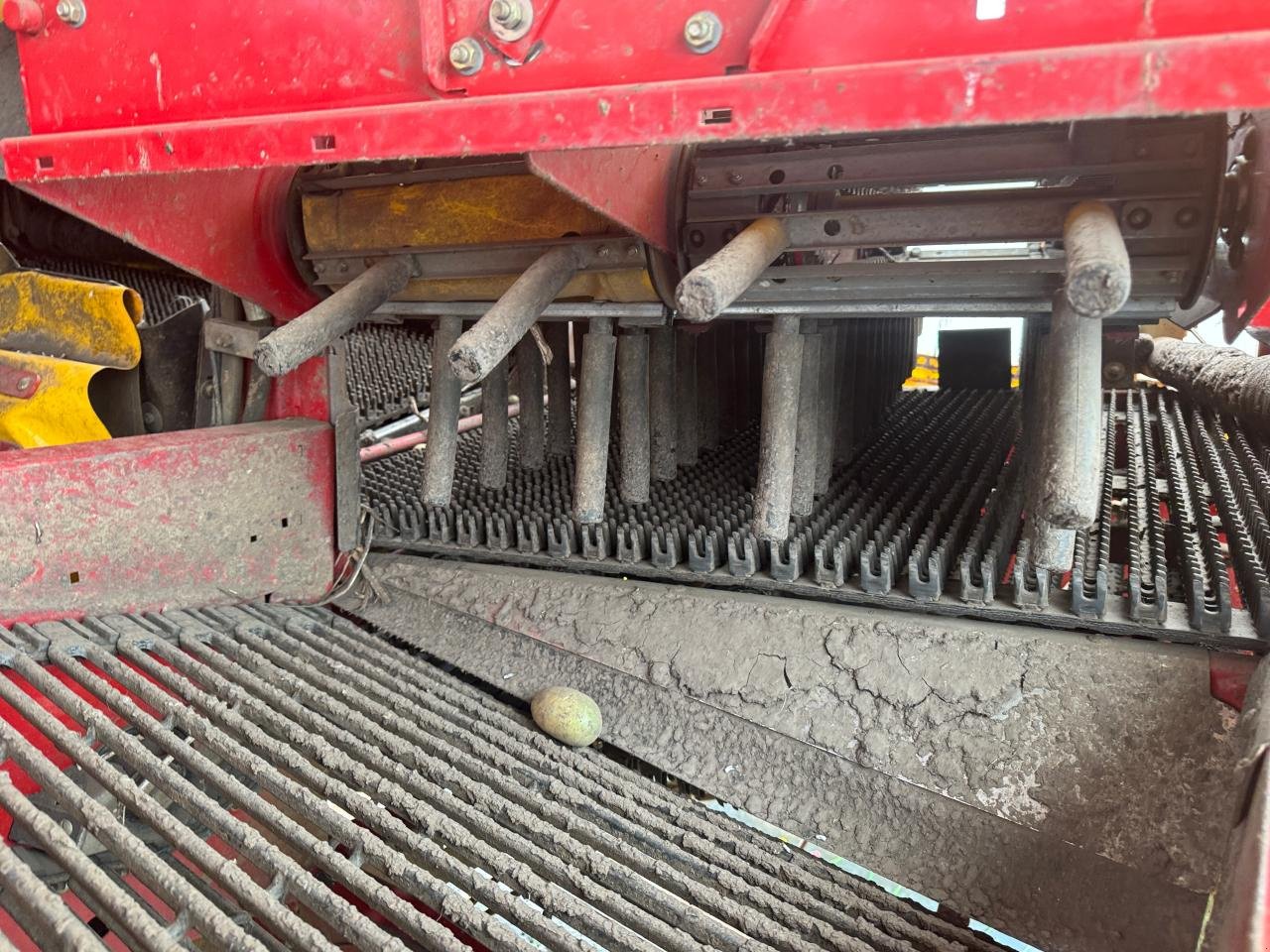 Kartoffelvollernter typu Grimme SE 75-55, Gebrauchtmaschine v Könnern (Obrázek 9)