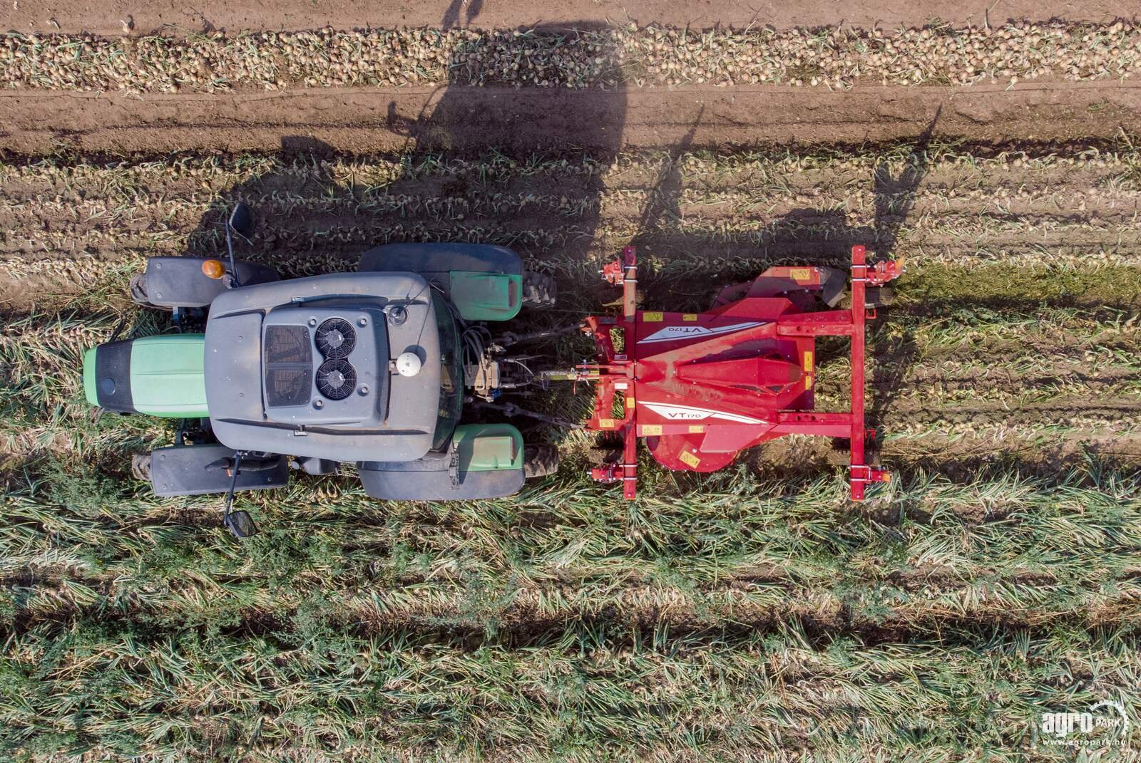 Kartoffelvollernter del tipo Grimme VT 170 Onion topper with 1,7 m working width, hydraulic height adjustment, spare blade kit, Gebrauchtmaschine In Csengele (Immagine 2)